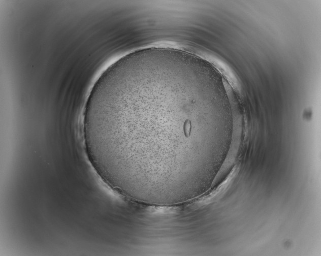 X0000102380808200808151856