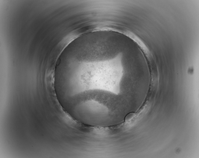 X0000102380809200808151856