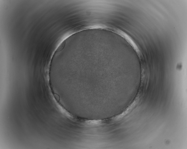 X0000102380810200808151856