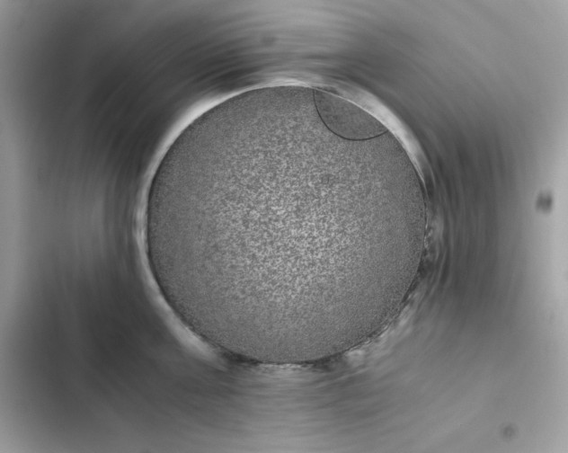 X0000102380811200808151856