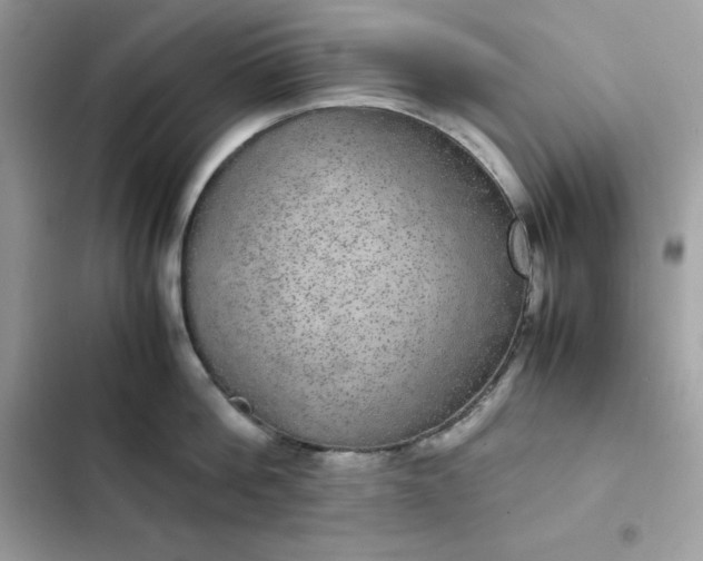 X0000102380812200808151856