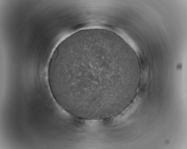 X0000102380813200808151856