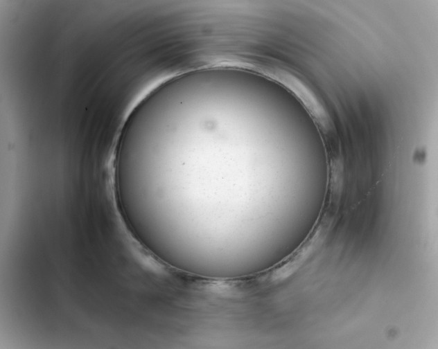 X0000102380814200808151856