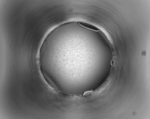 X0000102380815200808151856