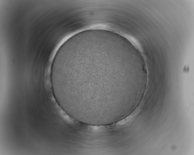 X0000102380816200808151856