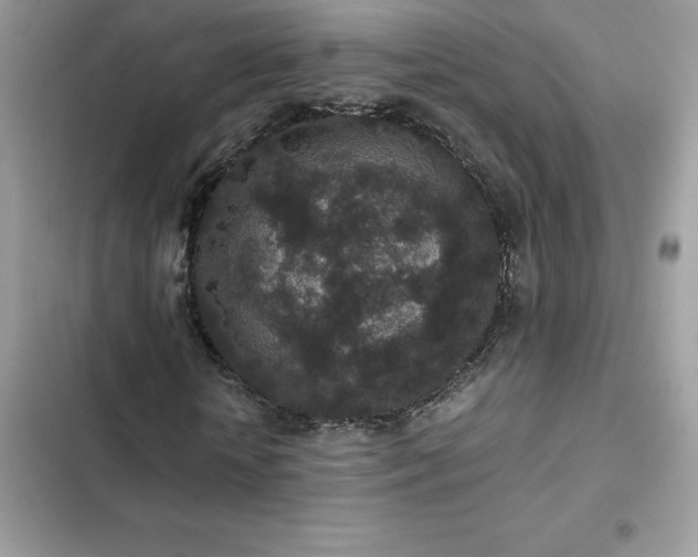 X0000102380818200808151856