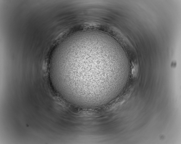 X0000102380819200808151856