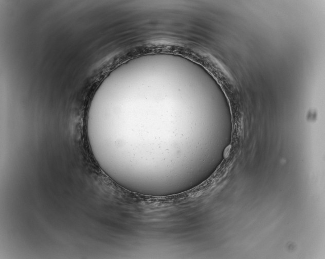 X0000102380821200808151856