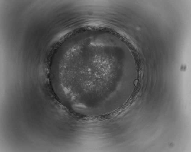 X0000102380822200808151856