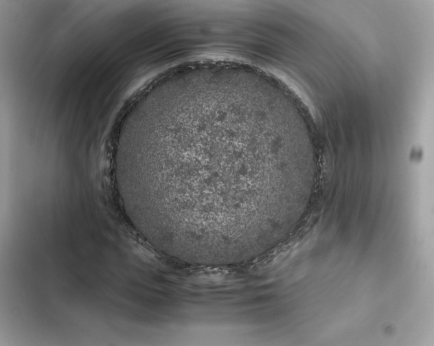 X0000102380823200808151856