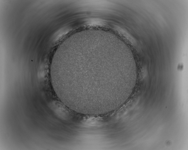 X0000102380824200808151856