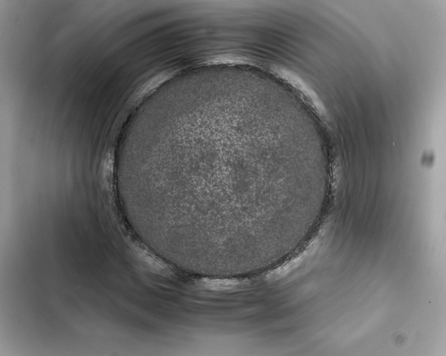 X0000102380825200808151856