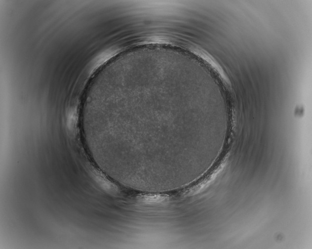 X0000102380826200808151856