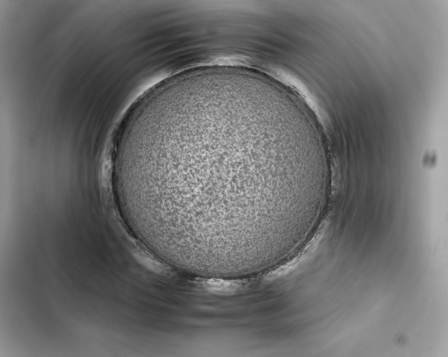 X0000102380827200808151856