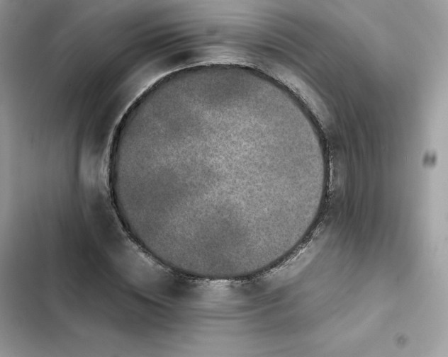 X0000102380828200808151856