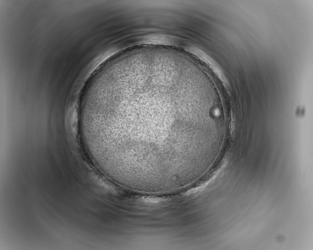 X0000102380829200808151856