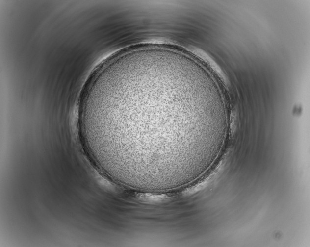 X0000102380831200808151856