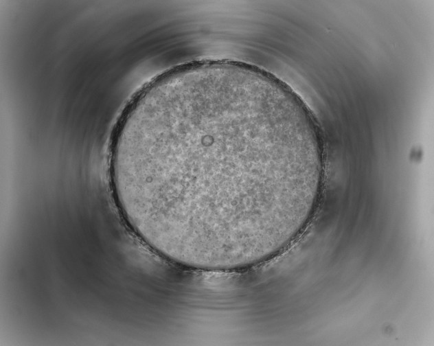 X0000102380832200808151856