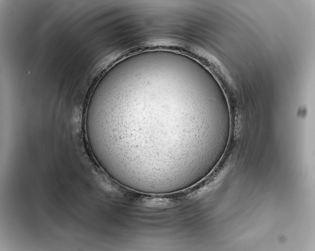 X0000102380833200808151856