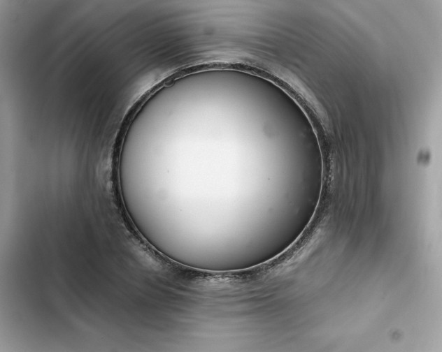 X0000102380834200808151856