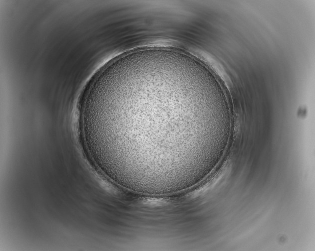 X0000102380835200808151856