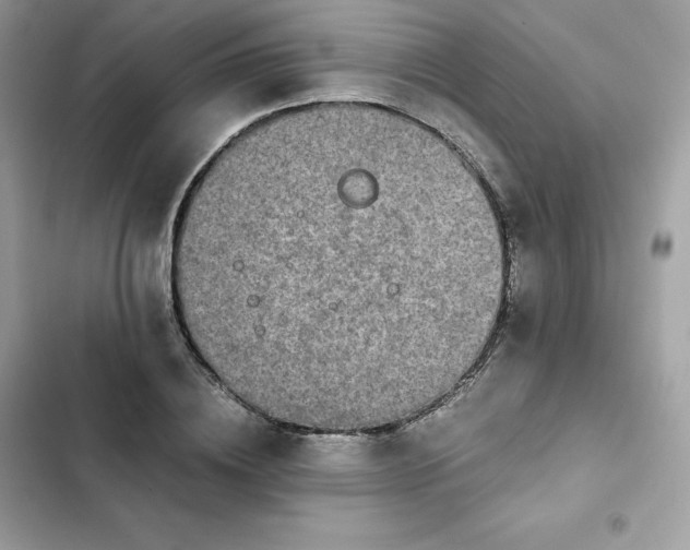 X0000102380836200808151856