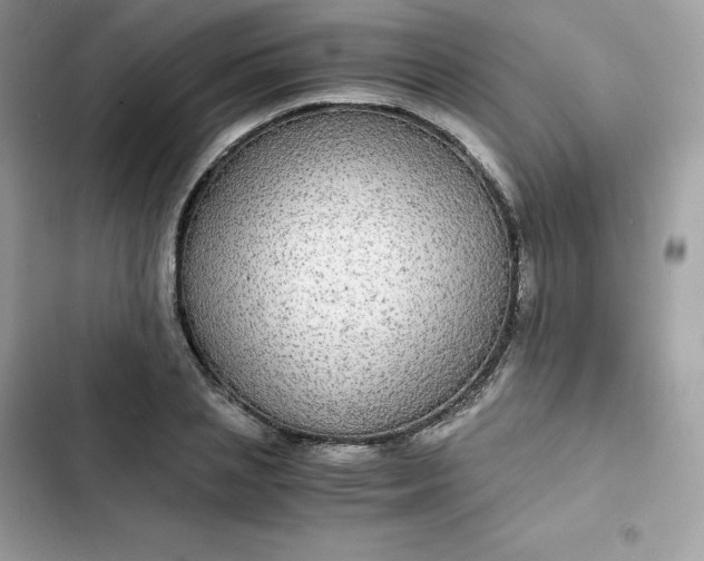 X0000102380837200808151856