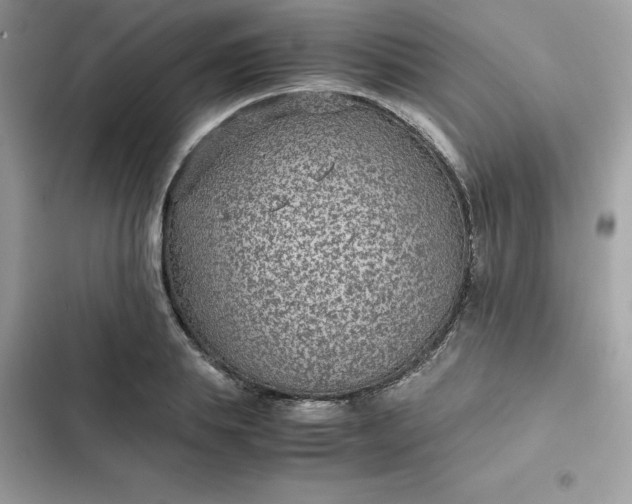 X0000102380839200808151856