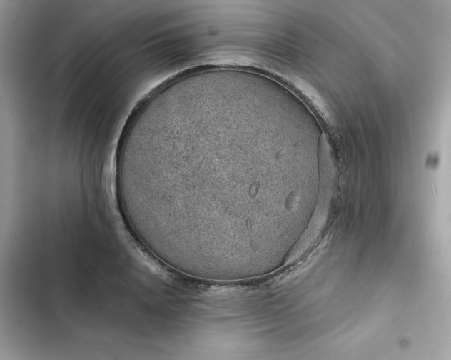 X0000102380840200808151856