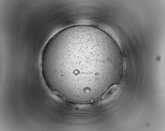 X0000102380843200808151856