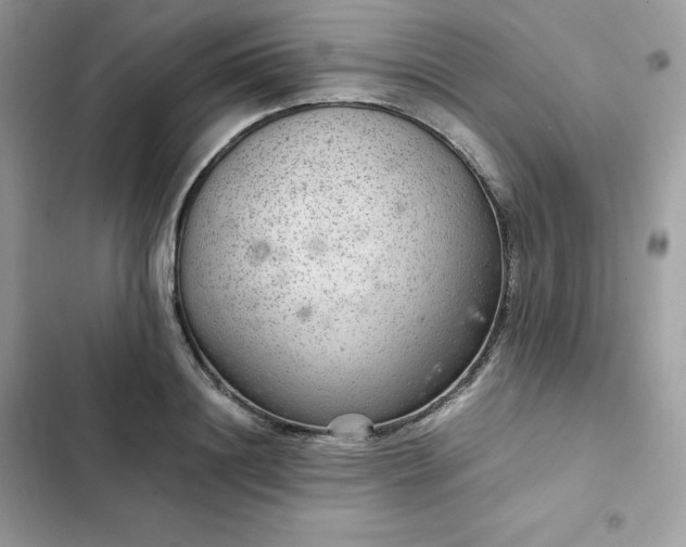 X0000102380844200808151856