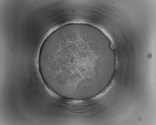 X0000102380845200808151856