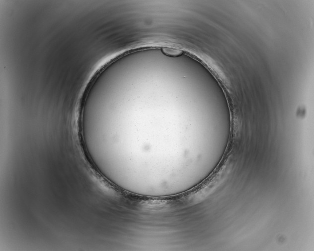 X0000102380846200808151856