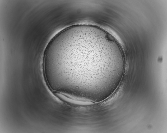 X0000102380847200808151856