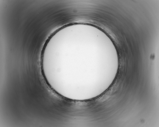 X0000102380848200808151856