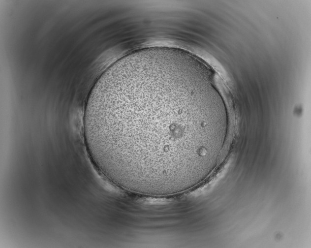 X0000102380849200808151856