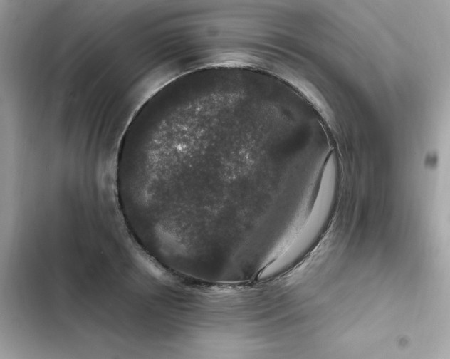 X0000102380850200808151856