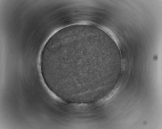 X0000102380851200808151856