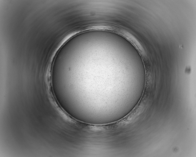 X0000102380852200808151856