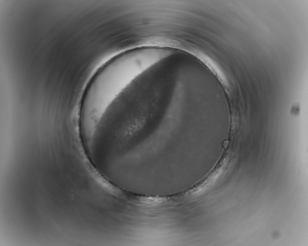 X0000102380854200808151856