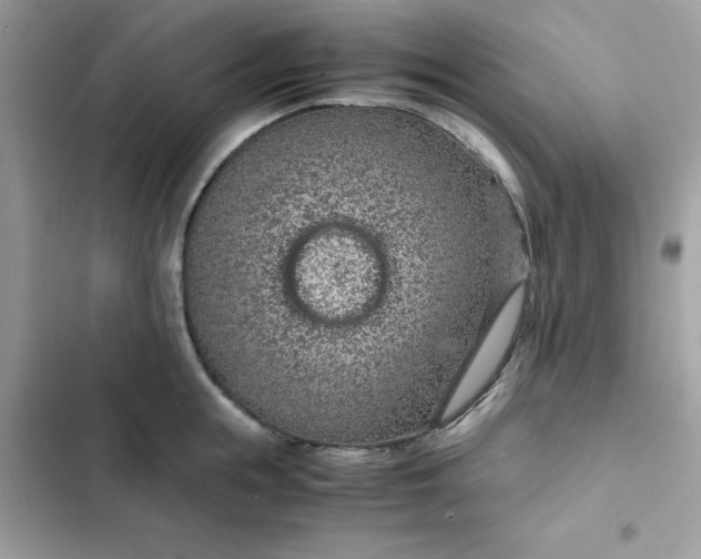 X0000102380855200808151856