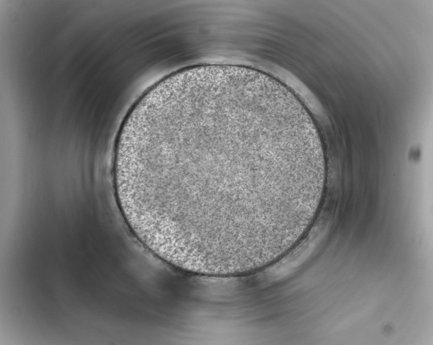 X0000102380856200808151856