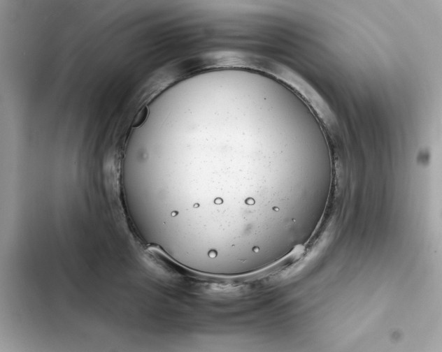 X0000102380857200808151856