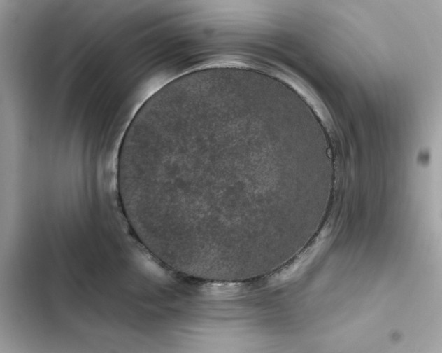 X0000102380858200808151856