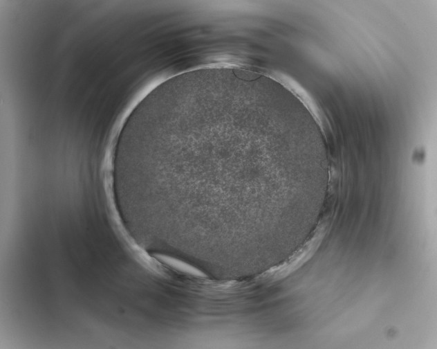 X0000102380859200808151856