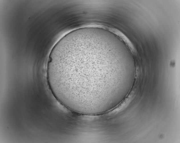 X0000102380860200808151856