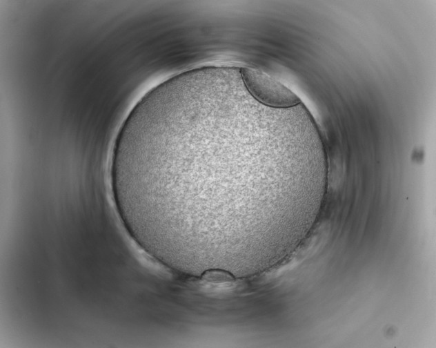 X0000102380861200808151856