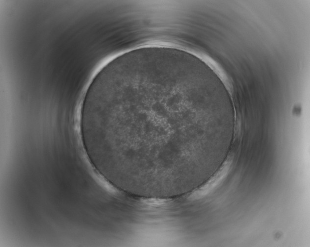 X0000102380862200808151856