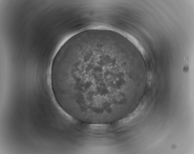 X0000102380863200808151856