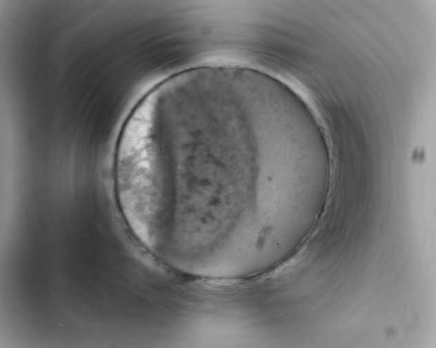 X0000102380864200808151856